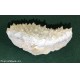 MINERALI - CALCITE