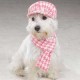 SET SCIARPA E CAPPELLO