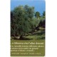 Jeps - BASSISSIMA TIR.... Piacenza 2002  - 2 -