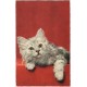 Jeps - cartolina tematica ANIMALI - Gattino anni 40-50