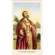 Jeps - Santini da collezione - S.Pietro Apostolo