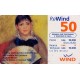 Jeps - WIND - Quadri famosi - Renoir