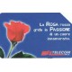 Messaggi floreali - La Rosa Cat. Golden N. 1086
