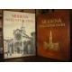 Libro Modena nell' 800