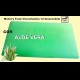 2 Cuscini Guanciali in Lattice Memory Foam e ALOE VERA