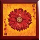 Quadro cornicato 30x30 cm