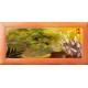 Quadro cornicato 50x100 cm