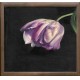 Quadro cornicato 33x33 cm