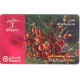 Jeps - RARE Schede Straniere... BAHRAIN - fiori