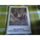 REGGIMENTO ARTIGLIERIA A CAVALLO -CALENDARIO 1989-