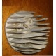 vespa 150 gs (forse)  testata ottima