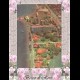 CARTOLINA VIAGGIATA -Postcard  CUBA   (0002)