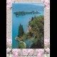 CARTOLINA VIAGGIATA -Postcard Trentino -Italy    (0014)