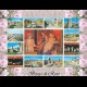 CARTOLINA VIAGGIATA -Postcard Campania -Italy    (0015)