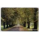 Jeps - Belle Schede Straniere ... GERMANIA - Allee