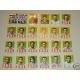 FIGURINE CALCIATORI PANINI 2007/08 SERIE CATANIA