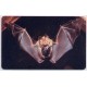 Jeps - Schede Straniere ... GERMANIA Chip - PIPISTRELLO