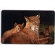 Jeps - Schede Straniere ... GERMANIA Chip - LINCE