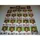 FIGURINE CALCIATORI PANINI 2004/05 SERIE REGGINA