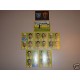 FIGURINE CALCIATORI PANINI 2007/08 SERIE FROSINONE