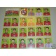 FIGURINE CALCIATORI PANINI 2007/08 SERIE LIVORNO