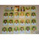 FIGURINE CALCIATORI PANINI 2007/08 SERIE LAZIO