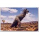 Jeps - Belle Schede Straniere... GERMANIA chip - T-REX