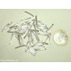 MINUTERIA - LOTTO 40 TUBETTI PLACCATI ARGENTO