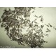 MINUTERIA - LOTTO 20 CAPICORDA