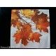 DECOUPAGE TOVAGLIOLI SERVIETTES NAPKINS DECORAZIONE