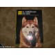 IL SIBERIAN HUSKY