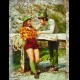 CARTOLINA ALPINI -