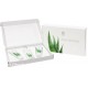 Set Alove Vera Box LR