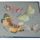 adesivi stickers scrapbooking farfalle fosforescente 3D
