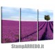 3 STAMPE ARTE LAVANDA IN PROVENZA CANVAS ARREDAMENTO