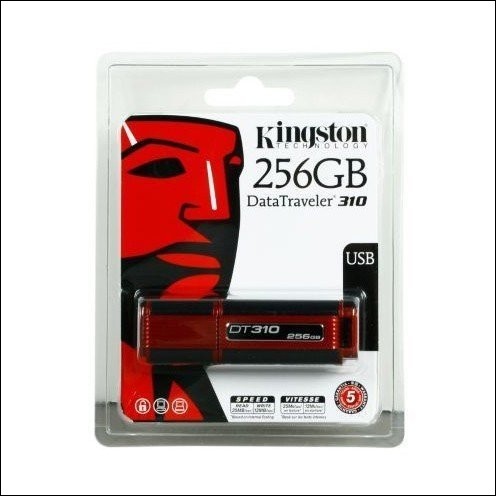 PEN DRIVE KINGSTON USB 256 GB ,(dt 310)