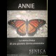 "ANNIE"la storia clinica di una giovane donna anoressica