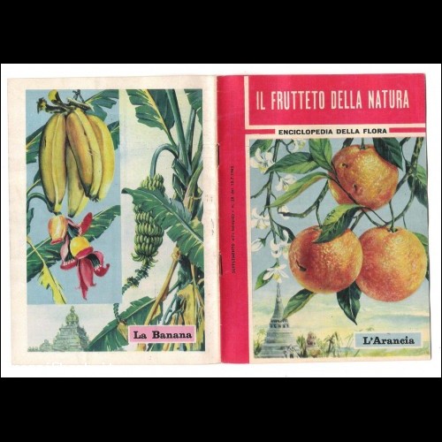 Supplemento INTREPIDO n.28  1962 -il frutteto della natura