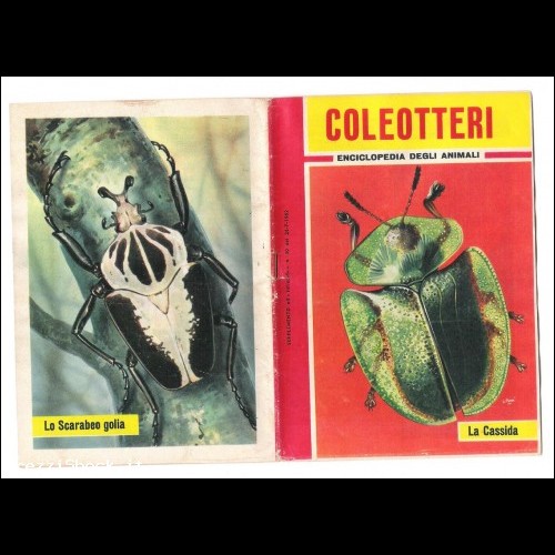  Supplemento INTREPIDO n. 30 del 1962 - coleotteri