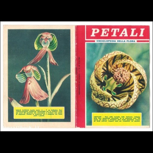 Supplemento INTREPIDO n.22 del 1962 - petali - fiori flowers