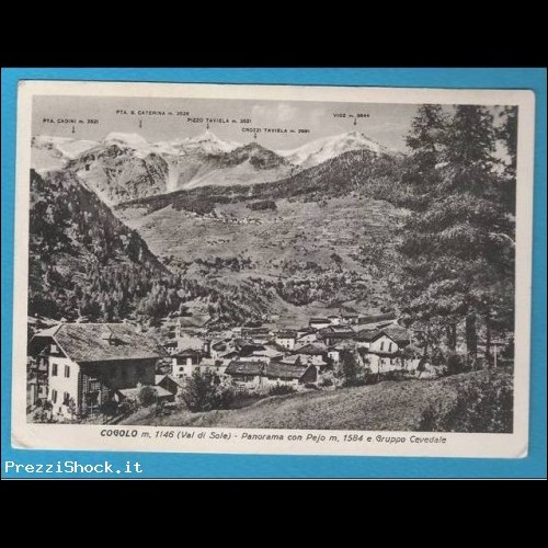 COGOLO - Trento - panorama con Pejo -  VG 1956