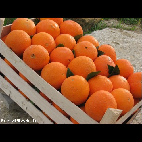 Arance di Sicilia Biologiche Vaniglia 20 kg
