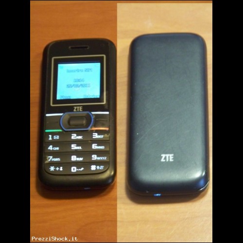 CELLULARE GSM DUAL BAND ZTE PM1005 ECO USATO MA FUNZIONANTE
