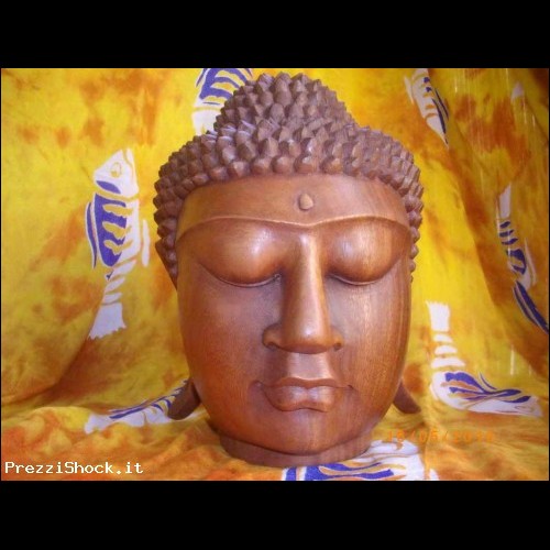 Testa del Buddha in legno Suar massello