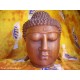 Testa del Buddha in legno Suar massello