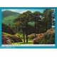 Irlanda -  Muckross Garden Killarney - no VG