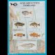 Erinnofilo chiudilettera 1987 ANFE - pesci fisch