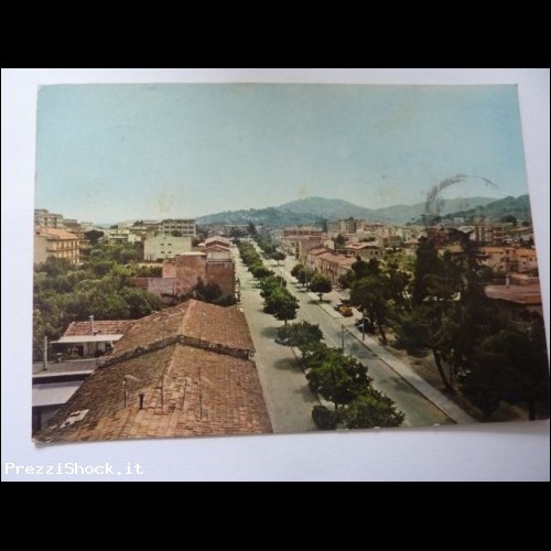 Cartolina Viaggiata "SAN GIORGIO DEL SANNIO Viale Spinelli"