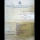 Documento "Spese Causa Istituto Nazionale Fascista" 1934