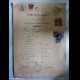 Documento "CERTIFICATO ANAGRAFICO COMUNE DI ROMA" 1916
